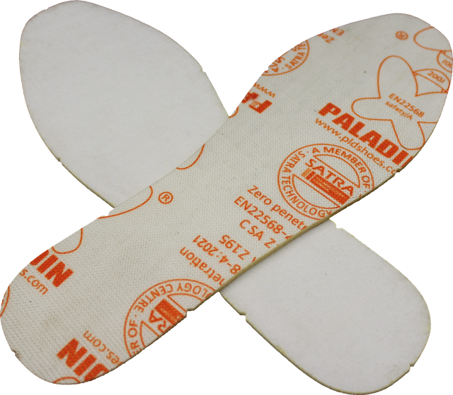 Sự thâm nhập/chèn chống đâm